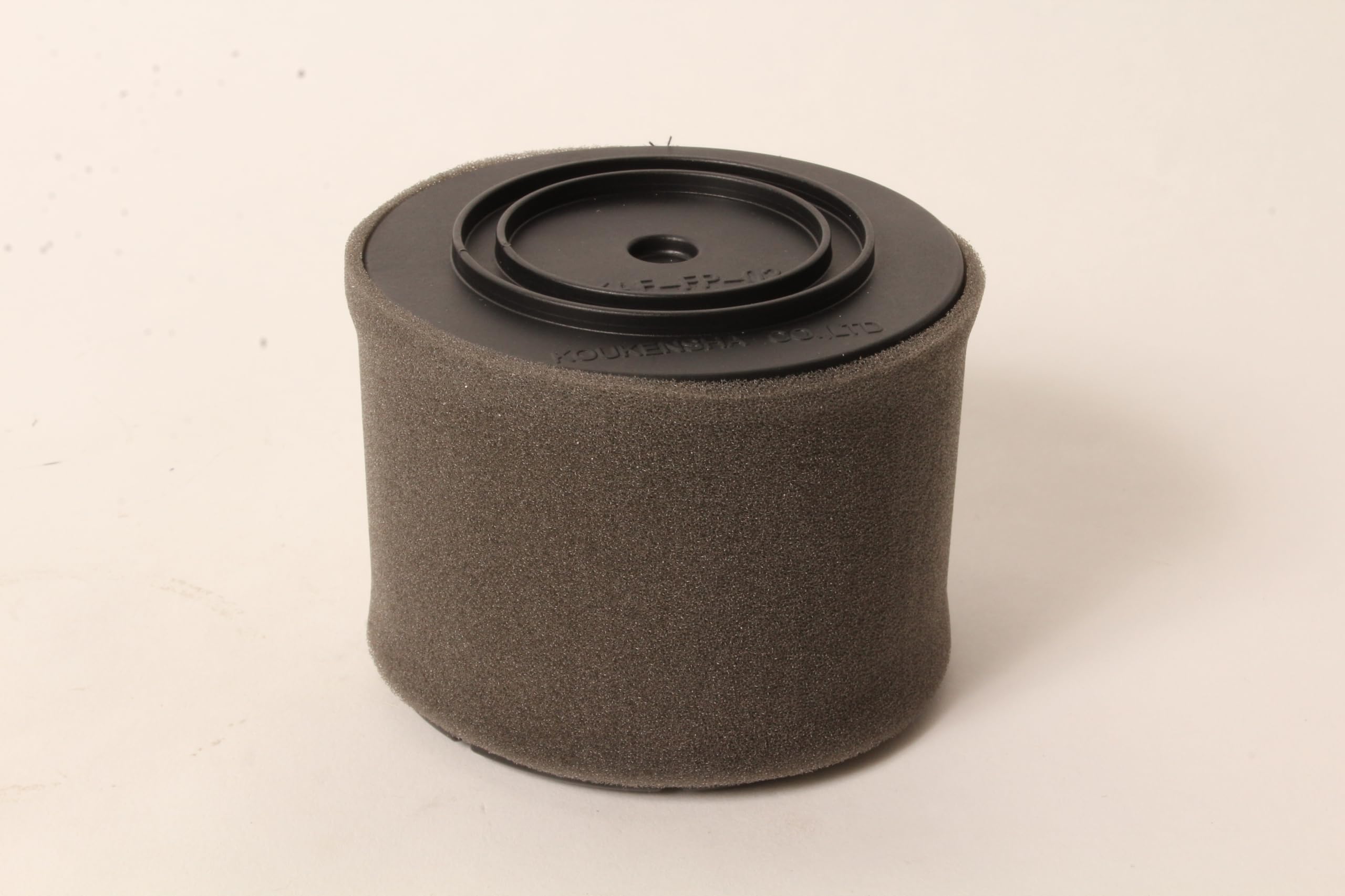 Amazon.com: Kawasaki 11029-0049 Air & Pre Filter for 11029-0019